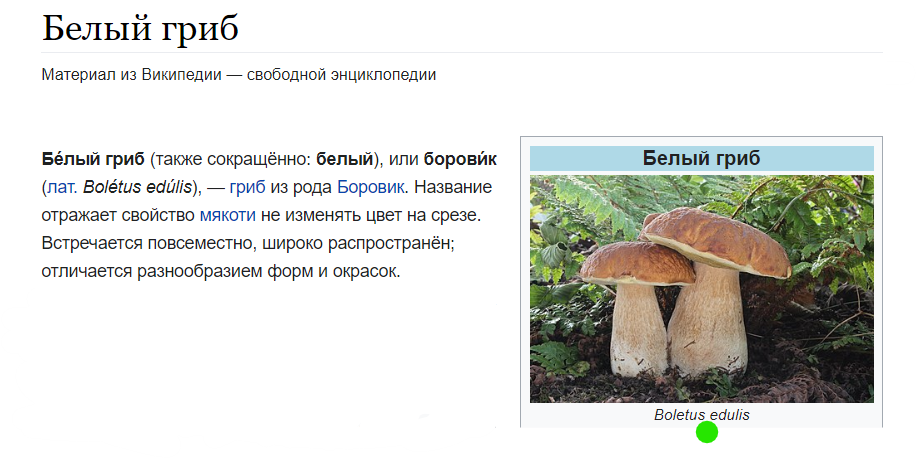 Википедия говорит, что такое латинское название соответствует БЕЛОМУ грибу. 