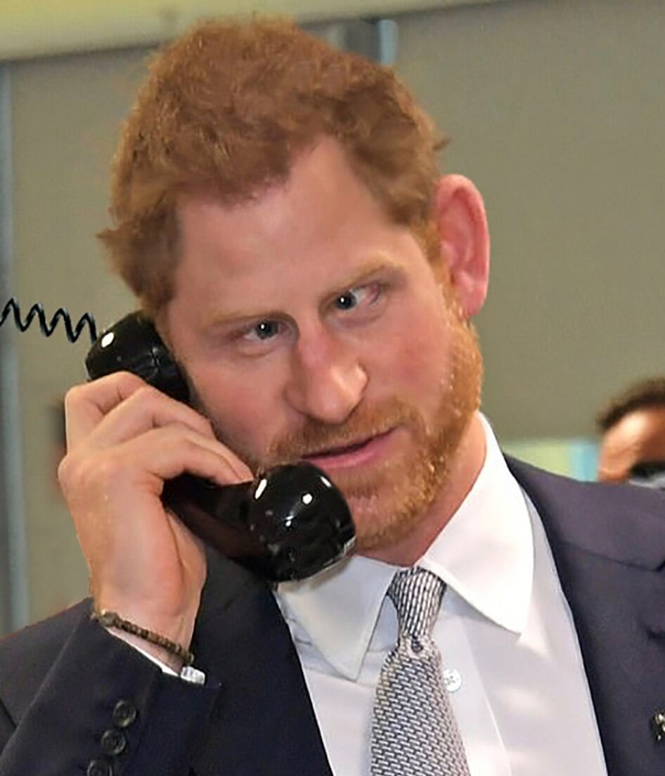 Гарри теперь будет советовать только своим питомцам в Монтесито, полагаю Гарри теперь будет советовать только своим питомцам в Монтесито, полагаю