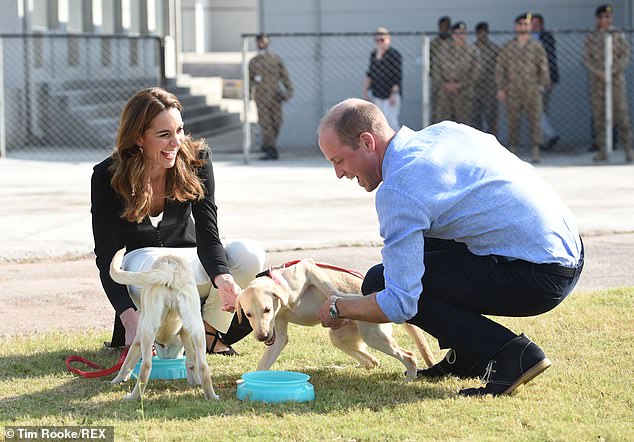 Королевская чета смеялась, когда они играли с обученными бомбовыми собаками Sky и Salto в учебном центре Исламабада, который смоделирован по образцу собственного центра подготовки собак британских военных в Мелтон-Моубри, Лестершир