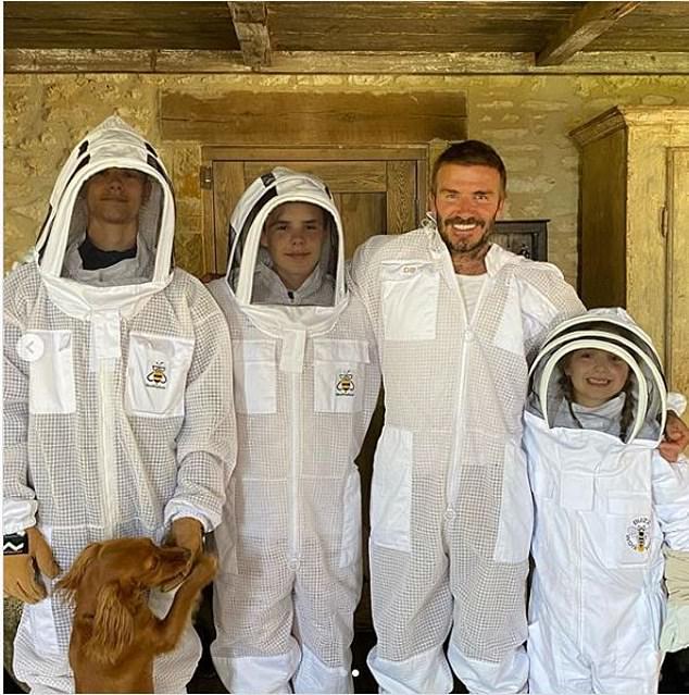 Другие знаменитости пчеловодов также помогли поднять пчеловодство.  На фото: Дэвид Бекхэм и его семья занялись пчеловодством во время блокировки
