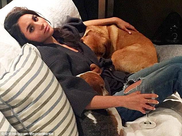 Откровенный анонимный дневник под названием Работающая актриса, принадлежавший Меган Маркл, изображал, как она расслабляется, обнимаясь со своими спасательными собаками Богартом и Гаем